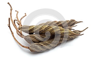 Closeup of Dry Marod Phali fruits, isolated on white background.