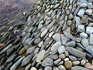 Closeup Of Dry River Smooth Stones