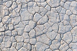 Closeup of the dry surface of Bonnie Claire Playa in Nevada