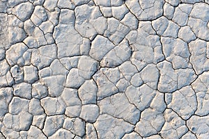 Closeup of the dry surface of Bonnie Claire Playa in Nevada photo