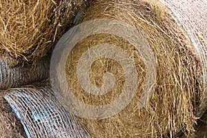 Closeup dryed rolled grass or hay