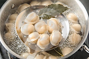 Closeup of dumplings on skimmer over stewpan with boiling water.