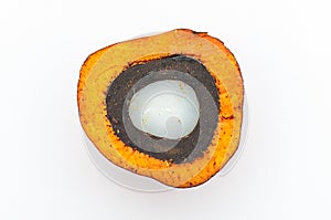 Close up of cross section of palm oil Dura fruits photo