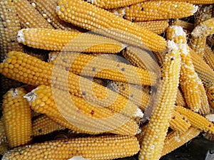 Closeup of ears of dried Indian corn in basket