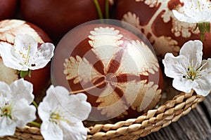 Closeup of an Easter egg dyed with onion skins in a basket