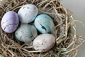Closeup of easter eggs in the nest