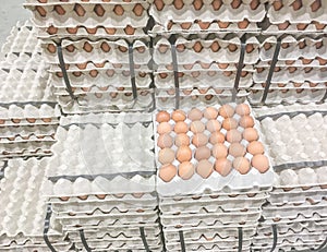 Closeup egg of chicken in egg tray on pile of paper tray background photo
