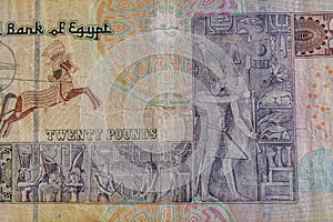 Closeup of egyptian twenty pounds banknote