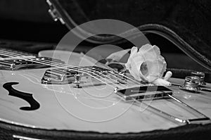 Closeup of electric guitar with volume and tone control knobs and flower