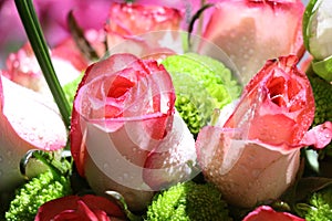 Closeup of Elegant bouquet of pink roses in bloom