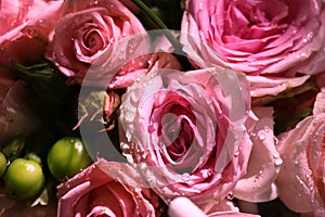 Closeup of Elegant bouquet of pink roses in bloom