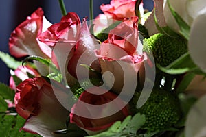 Closeup of Elegant bouquet of pink with white shade roses in bloom