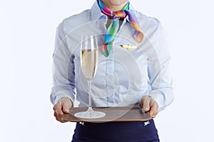 Closeup on elegant female flight attendant on white