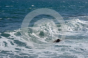 Closeup emerald sea coast