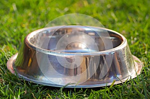 Closeup empty metal bowl for dog food sitting on green grass, animal nutrition concept