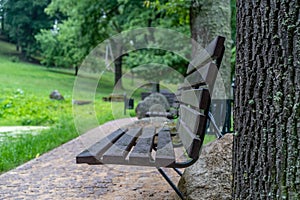 Closeup of Empty Park Benches in Sunny Summer Day With Golden Leaves in Trees, Latvia, Europe, Concept of Sadness and Loneliness