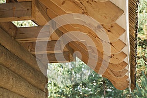 Closeup of the end of rafters on log house roof construction