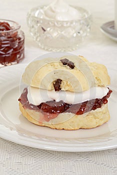 Closeup english devon cream tea