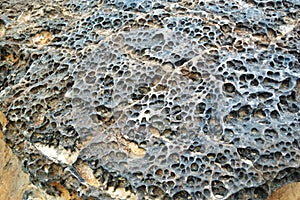 Closeup of a eroded rock surface.