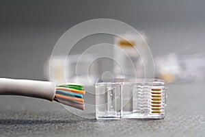 closeup ethernet cable plug connector
