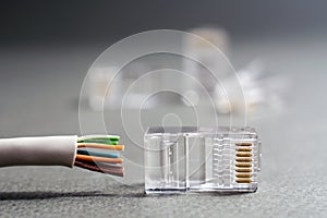 closeup of ethernet cable plug connector