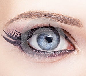 Closeup eye-zone make-up