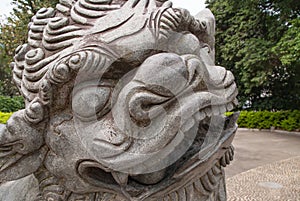 Closeup of face of Chinese mythological lion in Seven Star Park, Guilin, China