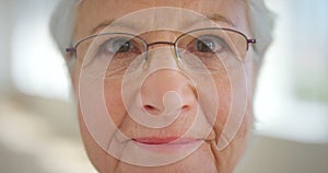 Closeup face of a senior womans eyes with glasses to improve her vision. Portrait of an elderly lady with spectacles to