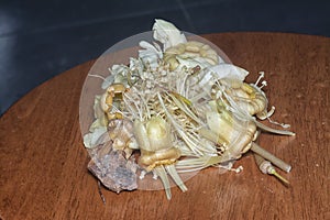 closeup of the fallen Durio zibethinus flower