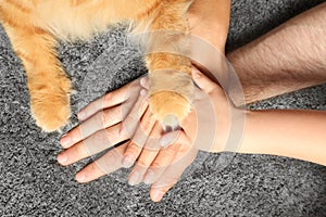 Closeup of family and cat holding hands together on carpet, top view