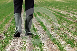 Closeup of farmer`s hands, hoe and field in spring. The concept of the garden, the beginning of the season, summer cottage