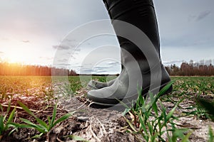 Closeup of farmer`s hands, hoe and field in spring. The concept of the garden, the beginning of the season, summer cottage