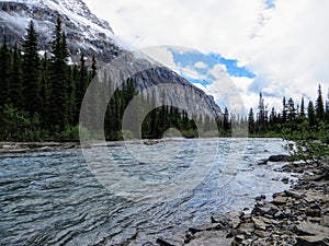 A closeup of a fast moving frigid river and surrounded by a dark forest