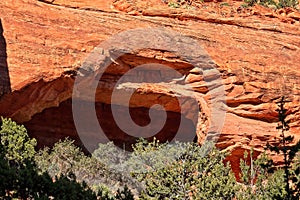 Closeup of Fay Canyon Arch, in the Red Rocks of Sedona, Arizona. Green juniper are growing in the foreground.