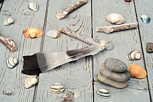 Closeup of a feather on the wooden table with decorative seashells and stacked flat stones