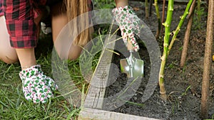 Closeup of female gardener digging soil with metal spade. Concept of gardening, domestic food and healthy organic