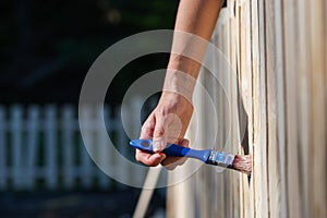 Closeup of female hand painting wooden backyard fence