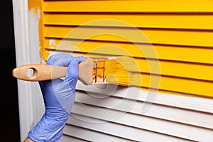 Closeup female hand in purple rubber glove with paintbrush painting natural wooden door with orange paint. Concept