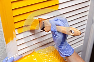 Closeup female hand in purple rubber glove with paintbrush painting natural wooden door with orange paint. Concept