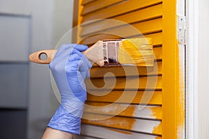 Closeup female hand in purple rubber glove with paintbrush painting natural wooden door with orange paint. Concept