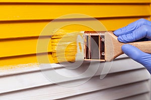 Closeup female hand in purple rubber glove with paintbrush painting natural wooden door with orange paint. Concept