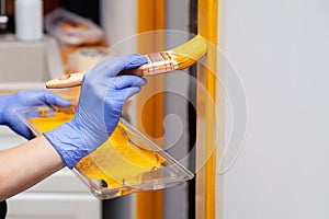 Closeup female hand in purple rubber glove with paintbrush painting natural wooden door with orange paint. Concept