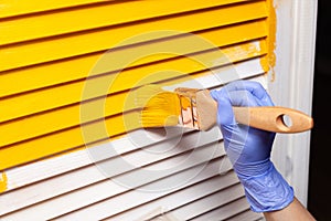 Closeup female hand in purple rubber glove with paintbrush painting natural wooden door with orange paint. Concept colored bright