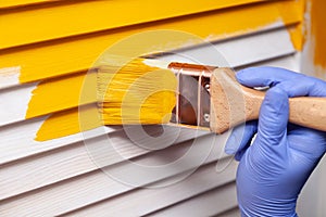 Closeup female hand in purple rubber glove with paintbrush painting natural wooden door with orange paint. Concept colored bright