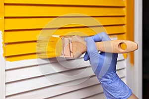 Closeup female hand in purple rubber glove with paintbrush painting natural wooden door with yellow paint. Concept