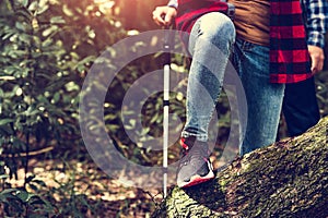 Closeup of female traveler legs and team group crossing log in forest for hiking to mountain top with trekking stick. Woman