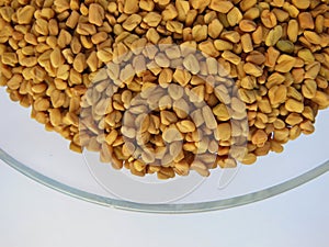 Closeup of Fenugreek seeds placed in glass bowl isolated on gray white background