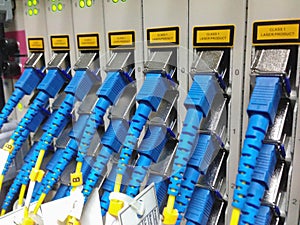 Closeup of fiber optical network cables patch panel