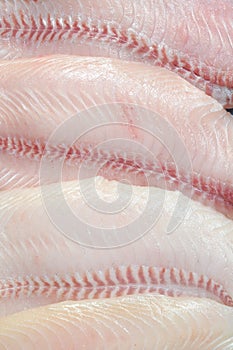 Closeup filleted catfish