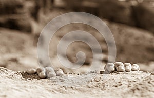 Closeup of fingers gripping a rock.